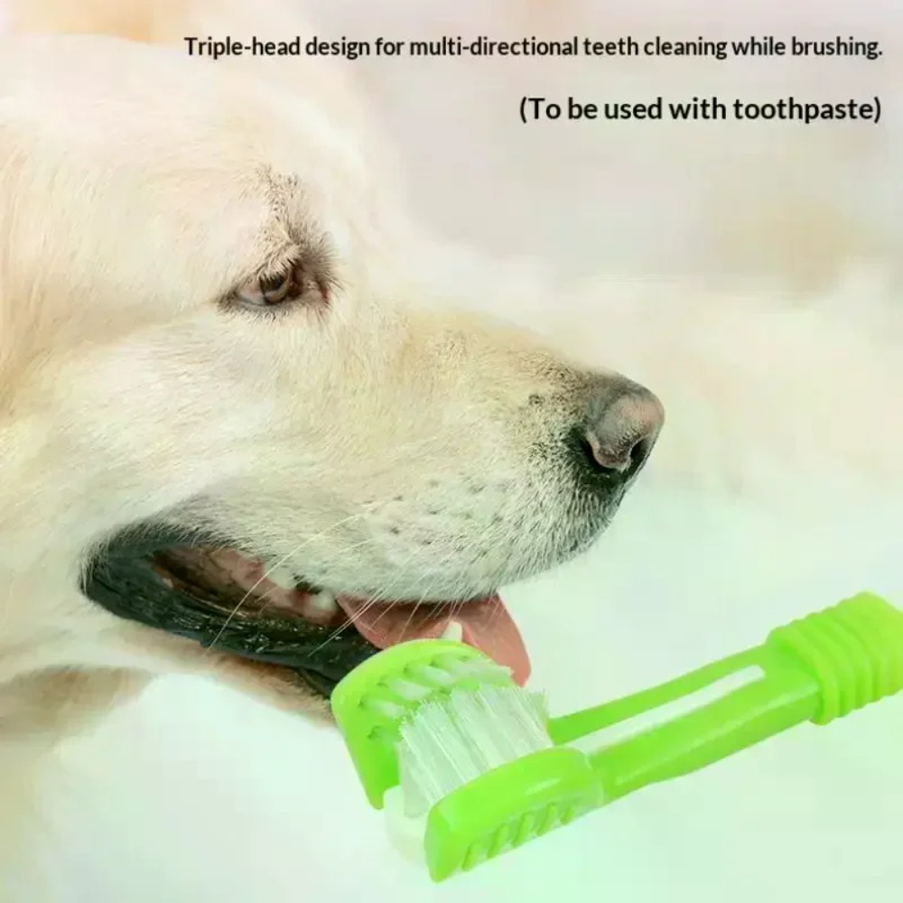 Brosse à dents 3 faces pour an - Teeth Whitening Mouthwash avis et prix