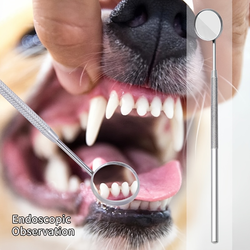6 pièces de dissolvants de tar - Teeth Whitening Mouthwash avis et prix