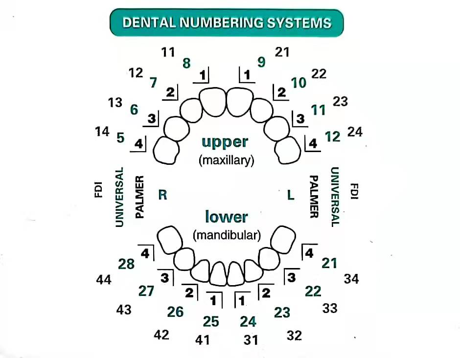 Ensemble de 32 moules pour fac - Teeth Whitening Moulds avis et prix